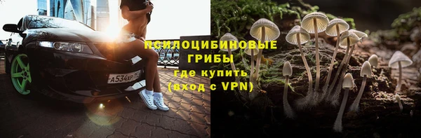 молекула духа Арсеньев