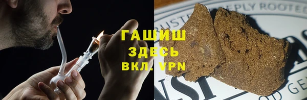 молекула духа Арсеньев